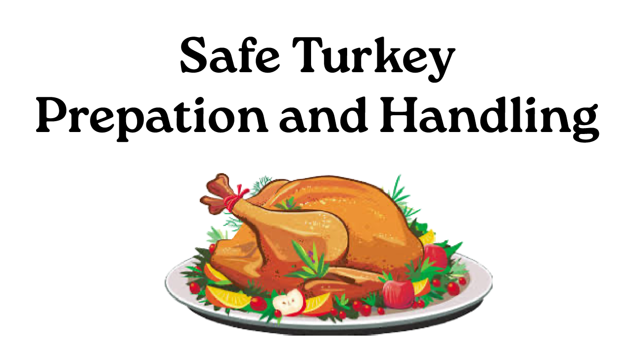 Turkey Safety